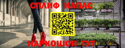 мяу мяу мука Татарск