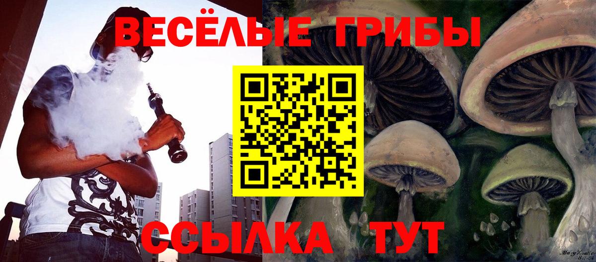 Псилоцибиновые грибы GOLDEN TEACHER Нижний Тагил