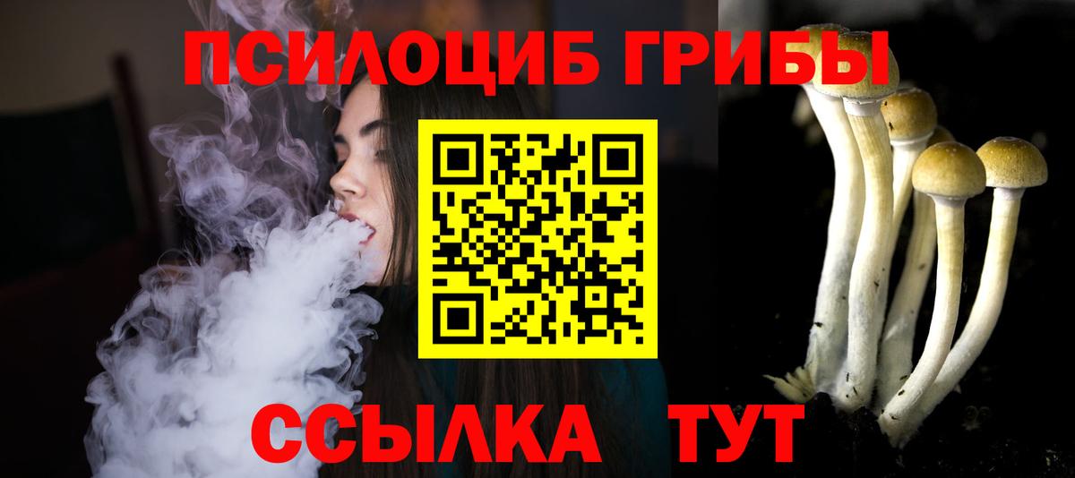 Псилоцибиновые грибы GOLDEN TEACHER  Вход с VPN  Нижний Тагил 